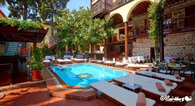 استخر روباز هتل بوتیک آلپ پاشا